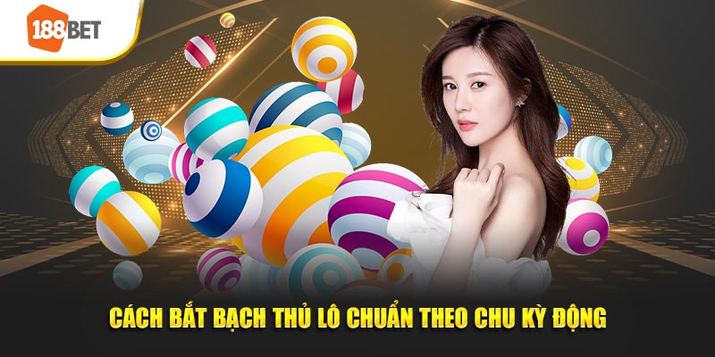 Cách bắt bạch thủ lô chuẩn theo chu kỳ động