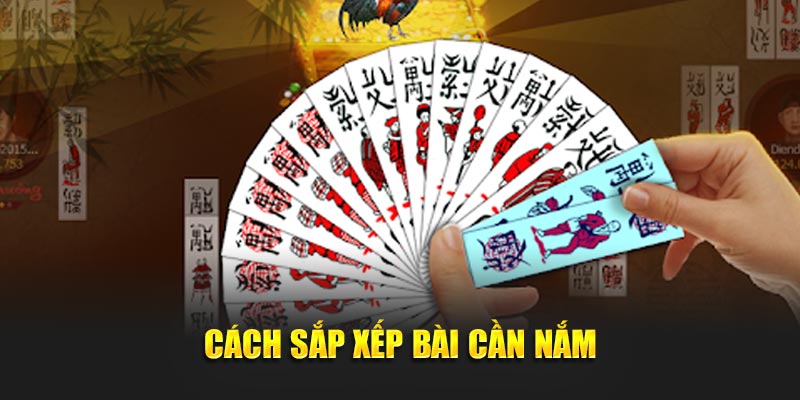 Cách sắp xếp bài cần nắm
